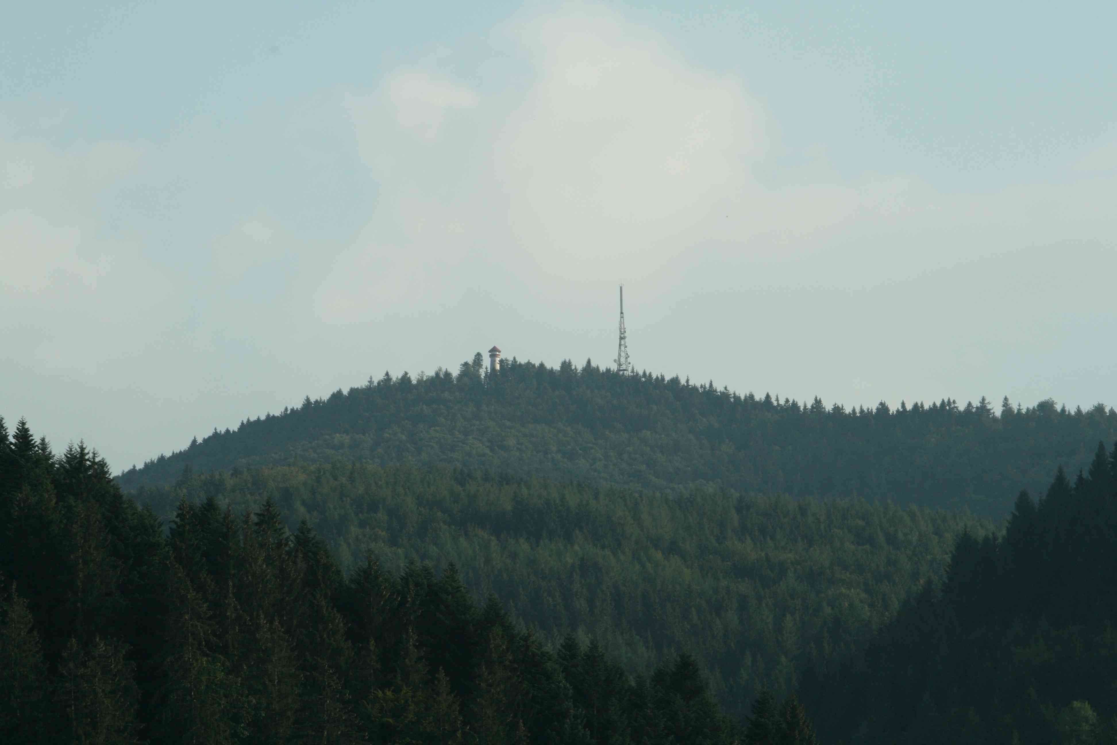 Zell001