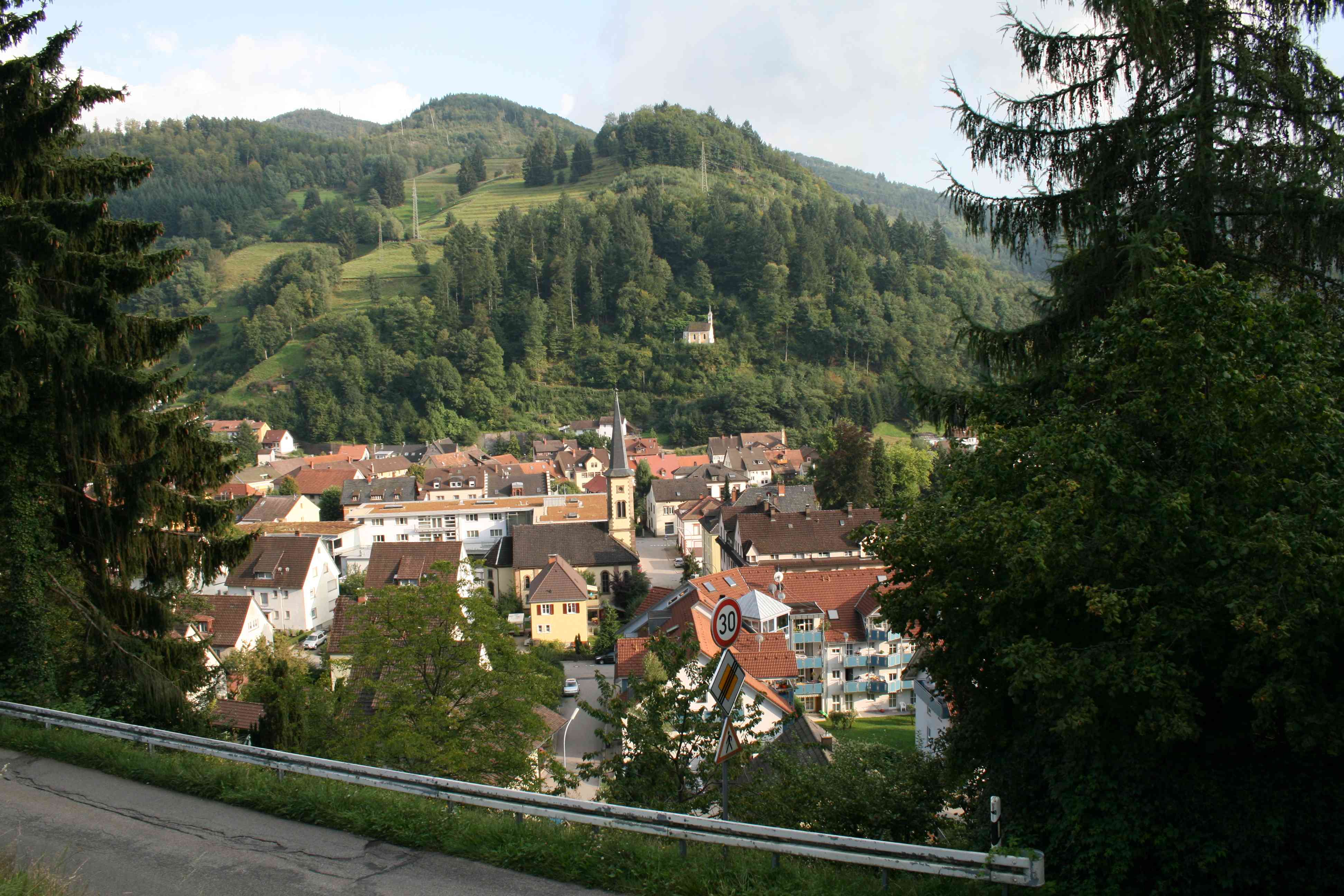 Zell003